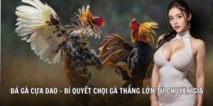 đá gà cựa dao 78wincomnet